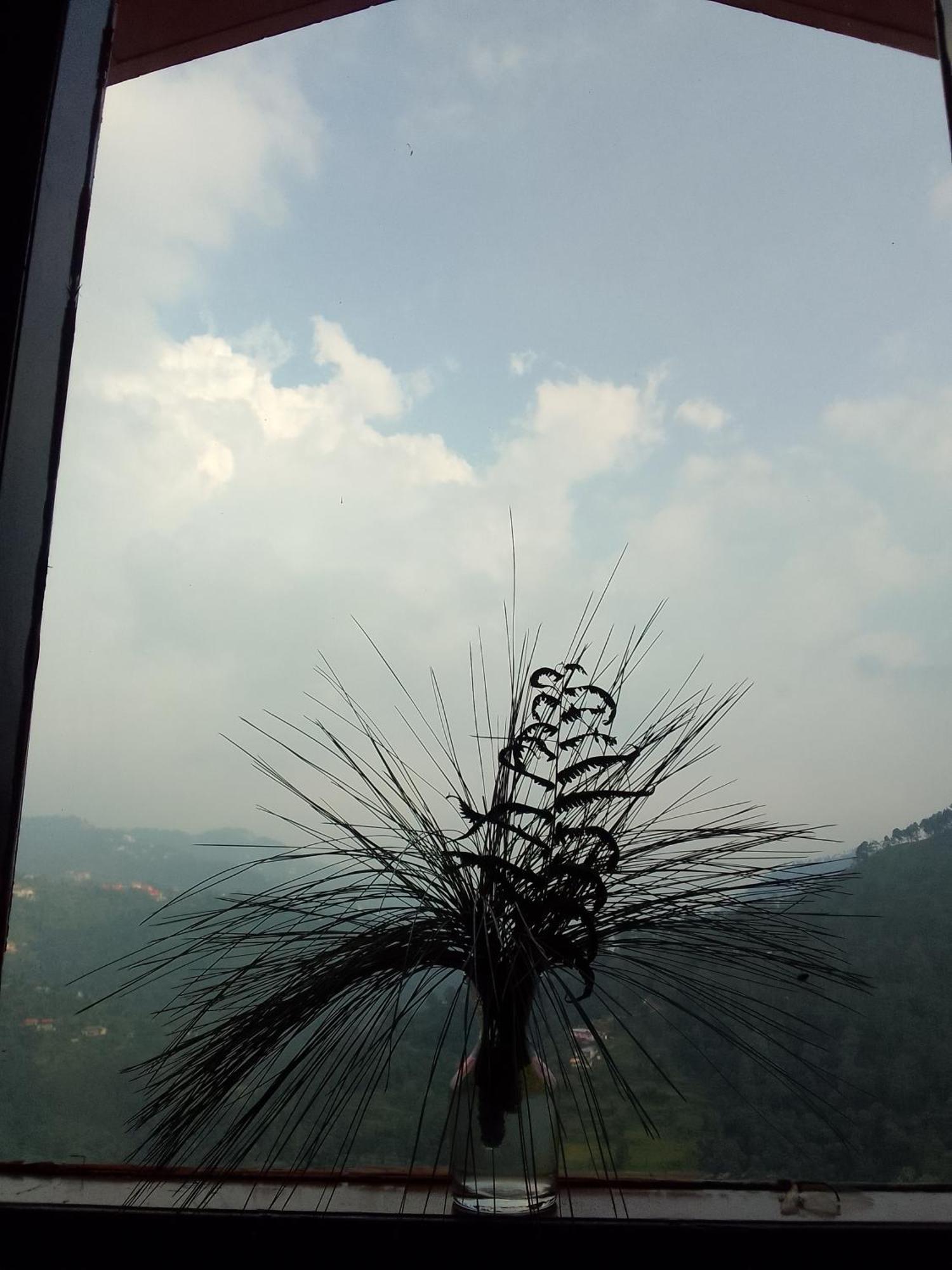 Shree Homestay