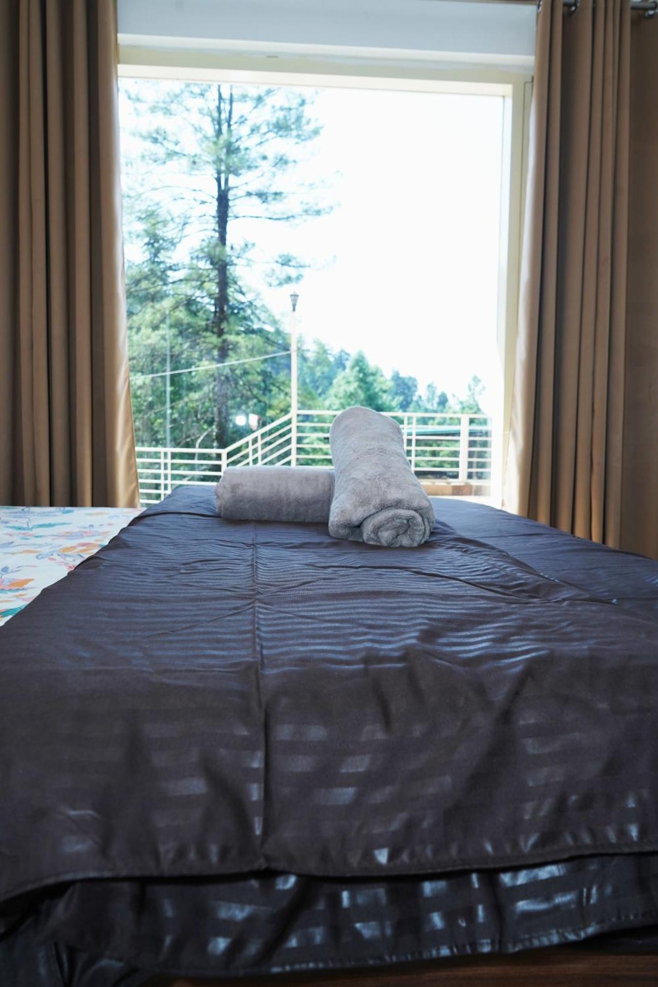 Brother's Nest Shimla