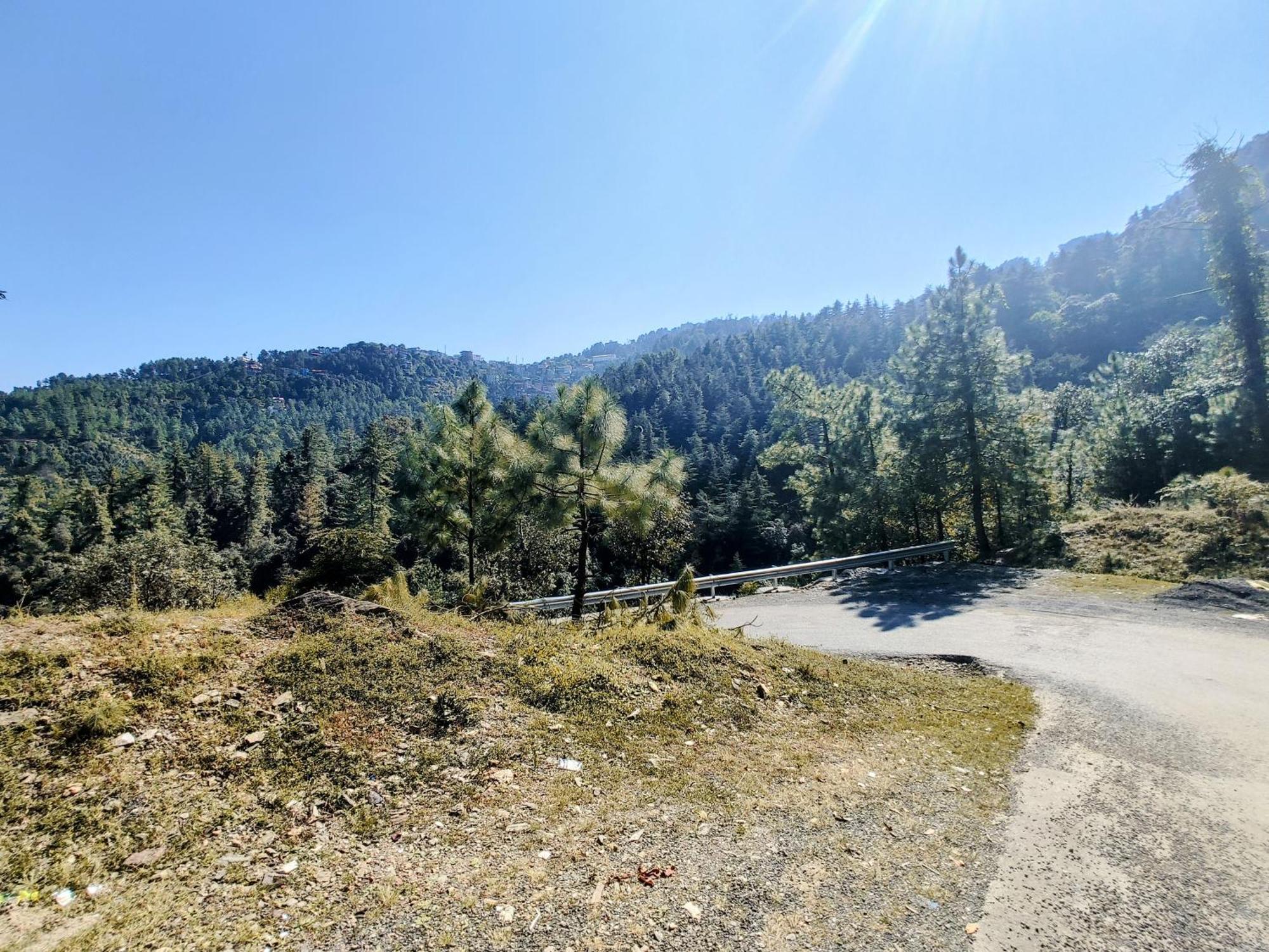 Apartment Whispering Meadows U Get Entire 3 Bhk Shimla