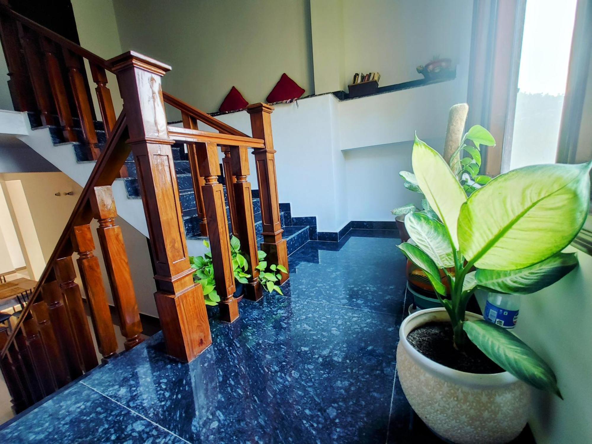 Whispering Meadows U Get Entire 3 Bhk Shimla