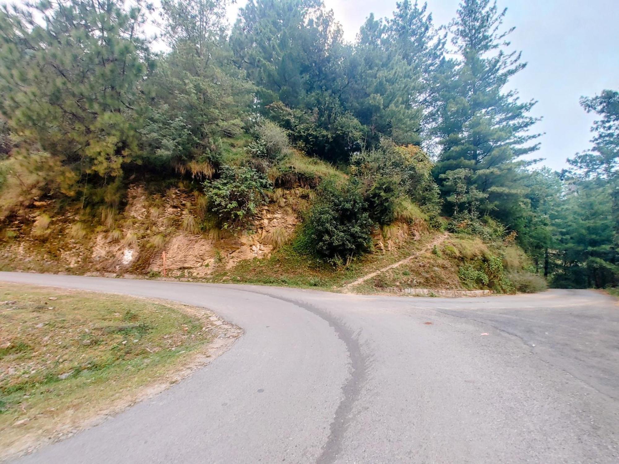 Apartment Whispering Meadows U Get Entire 3 Bhk Shimla