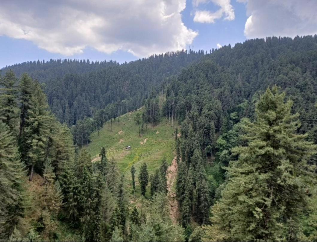 The Charvi Retreat By Exotic Shimla