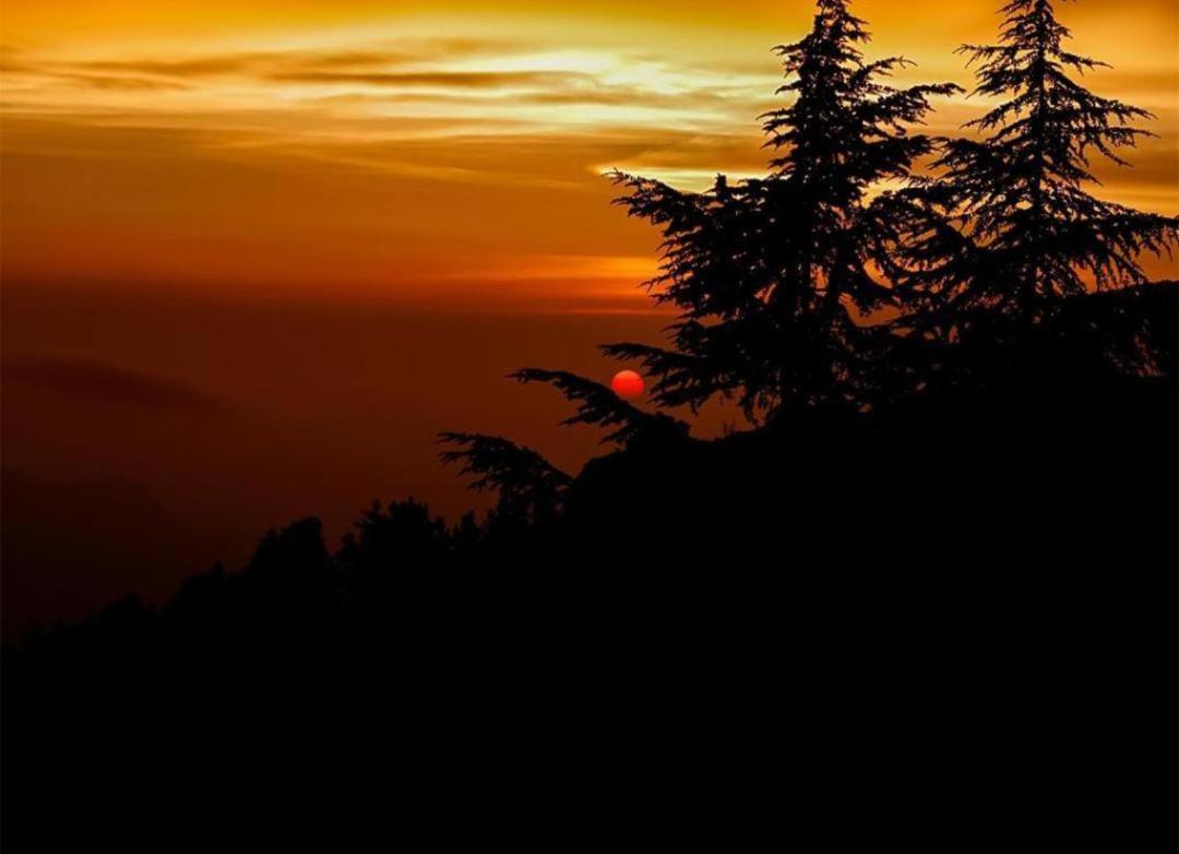 The Charvi Retreat By Exotic Hotel Shimla