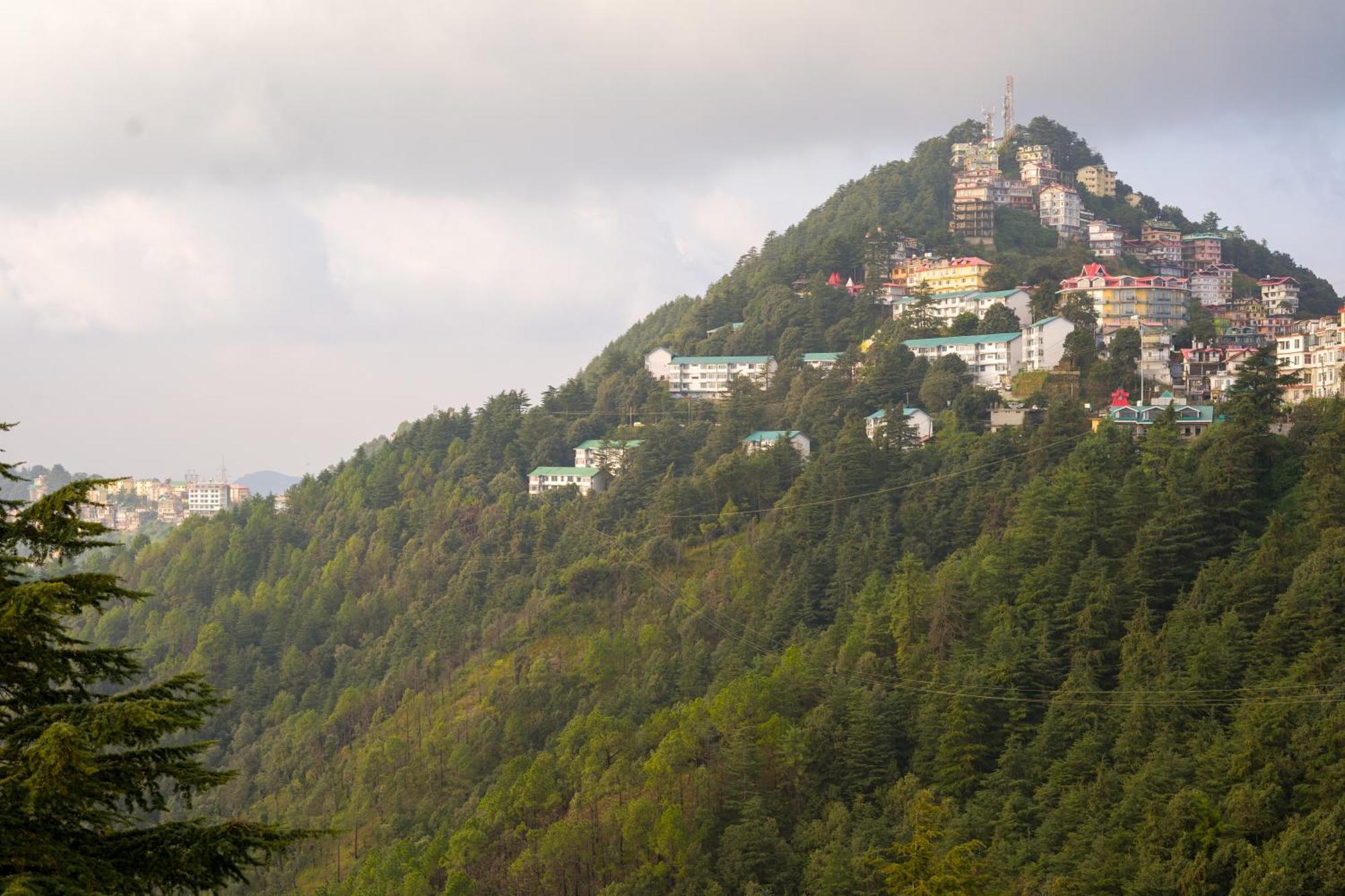 Elivaas 2 Bhk With Hills View & Restaurant - Hemkunj Bloom Shimla