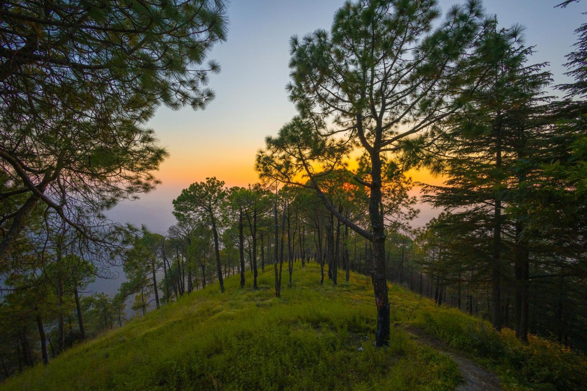 Elivaas 2 Bhk With Hills View & Restaurant - Hemkunj Bloom Villa *
