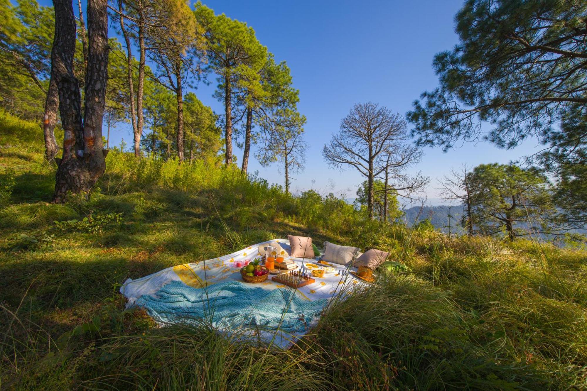 Elivaas 2 Bhk With Hills View & Restaurant - Hemkunj Bloom Villa Shimla