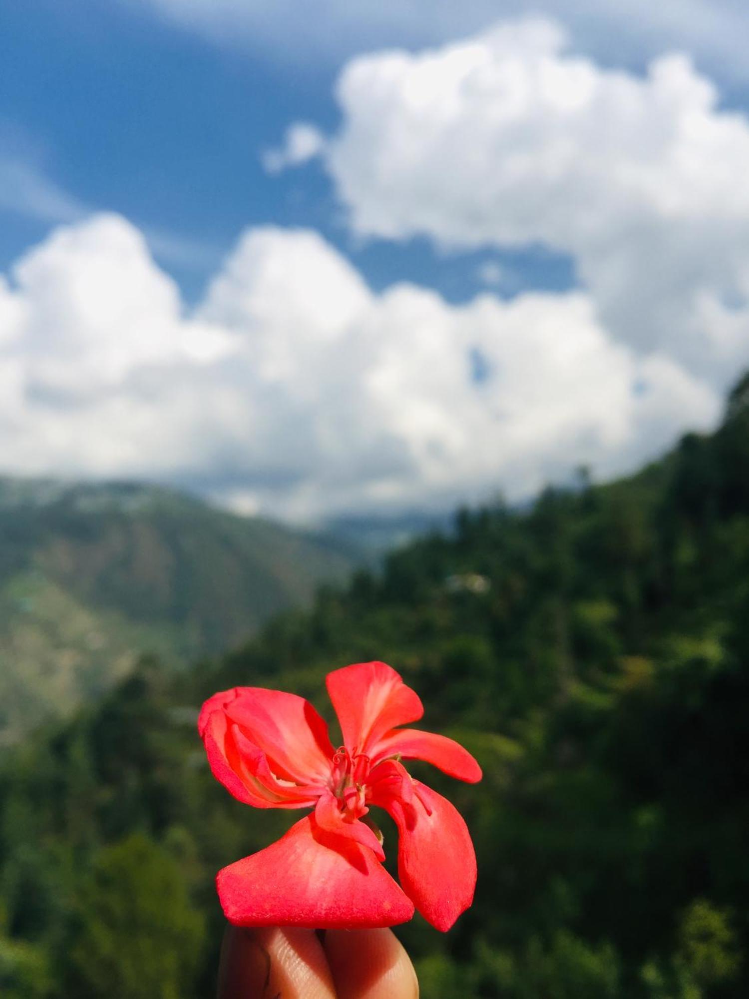 Sunrise View Shimla