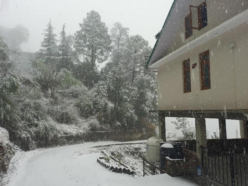 Aagaman Woods Homestay Shimla