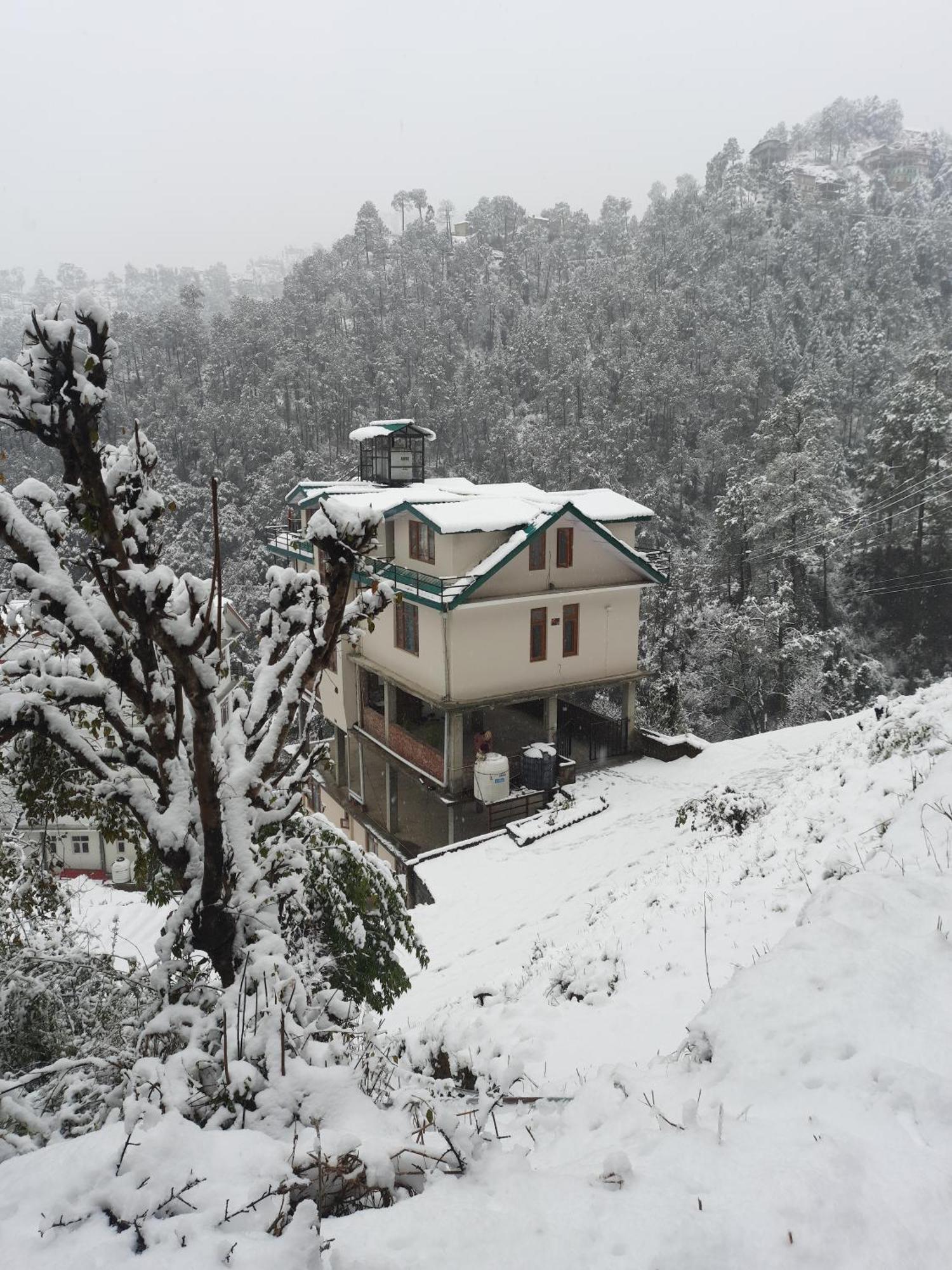 Aagaman Woods Shimla