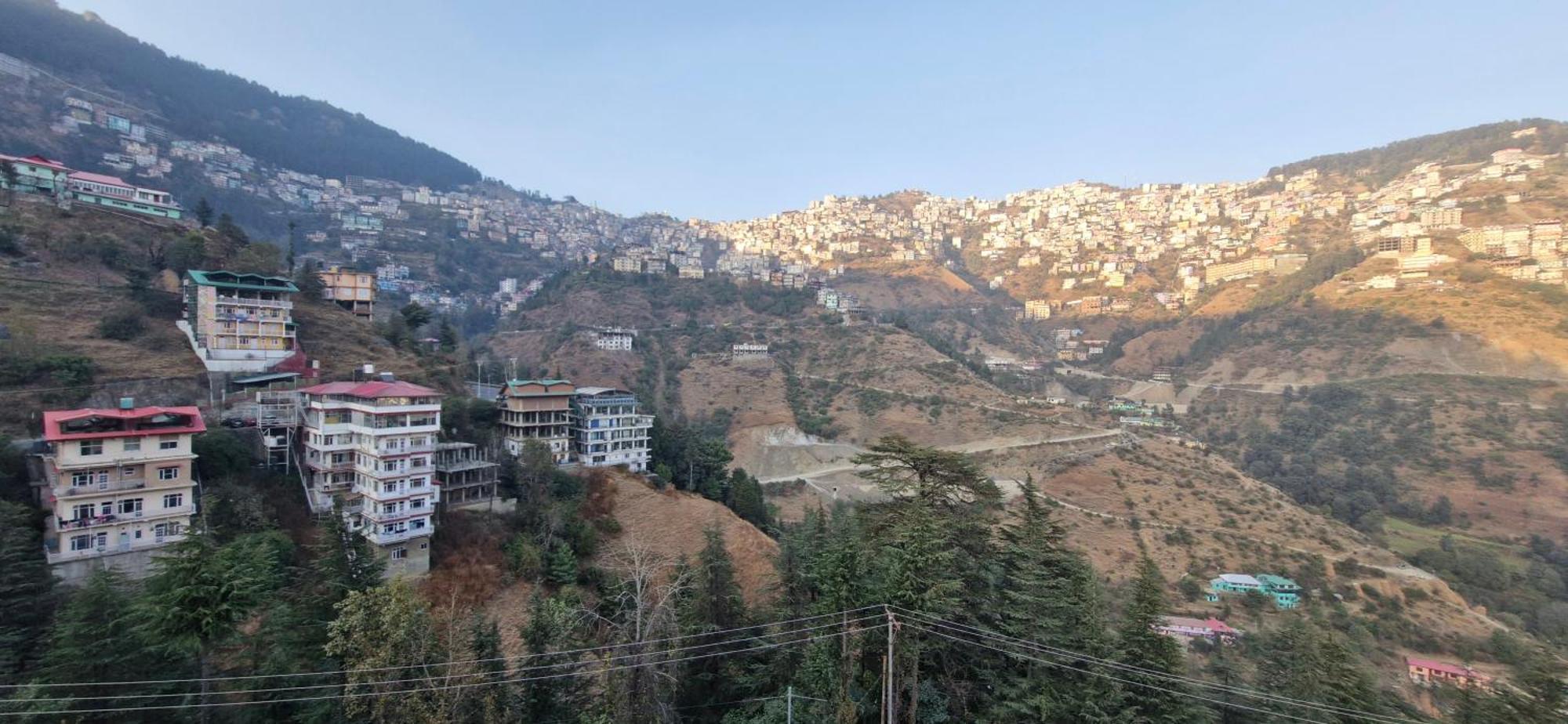 White 2* Shimla