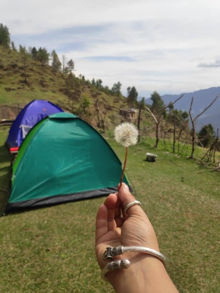 Homestay Alpine Valley