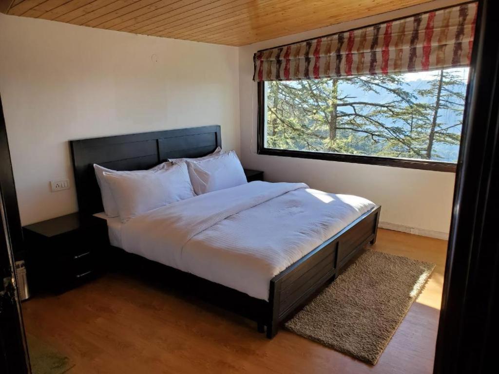 In Homestay Shimla