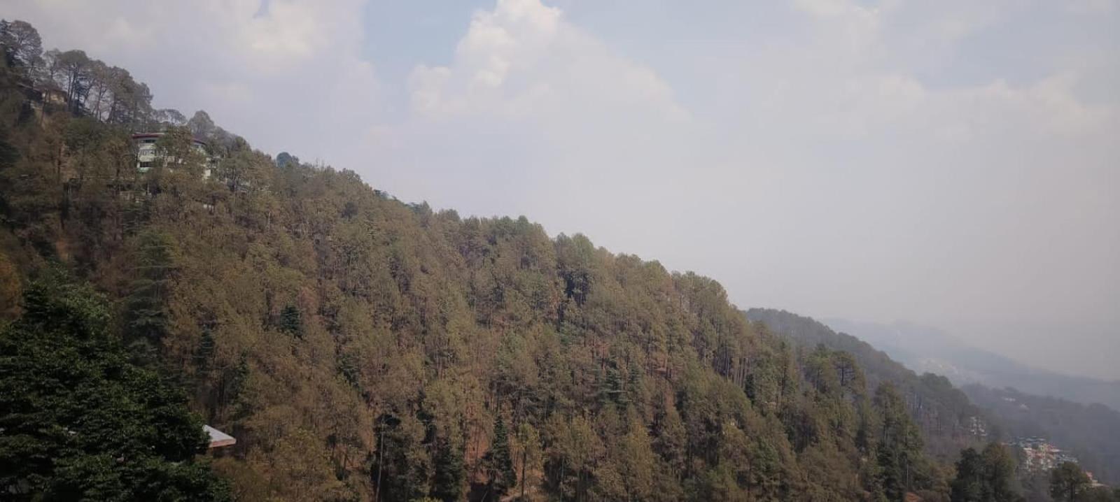 Bed & Breakfast Gauri Gopal Shimla