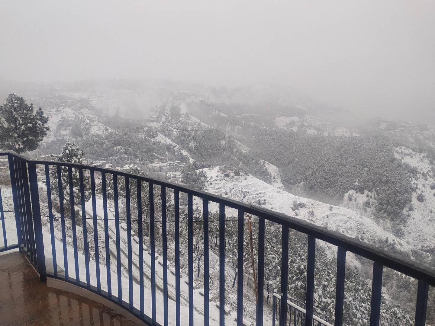 Royal Cedar Retreat Shimla
