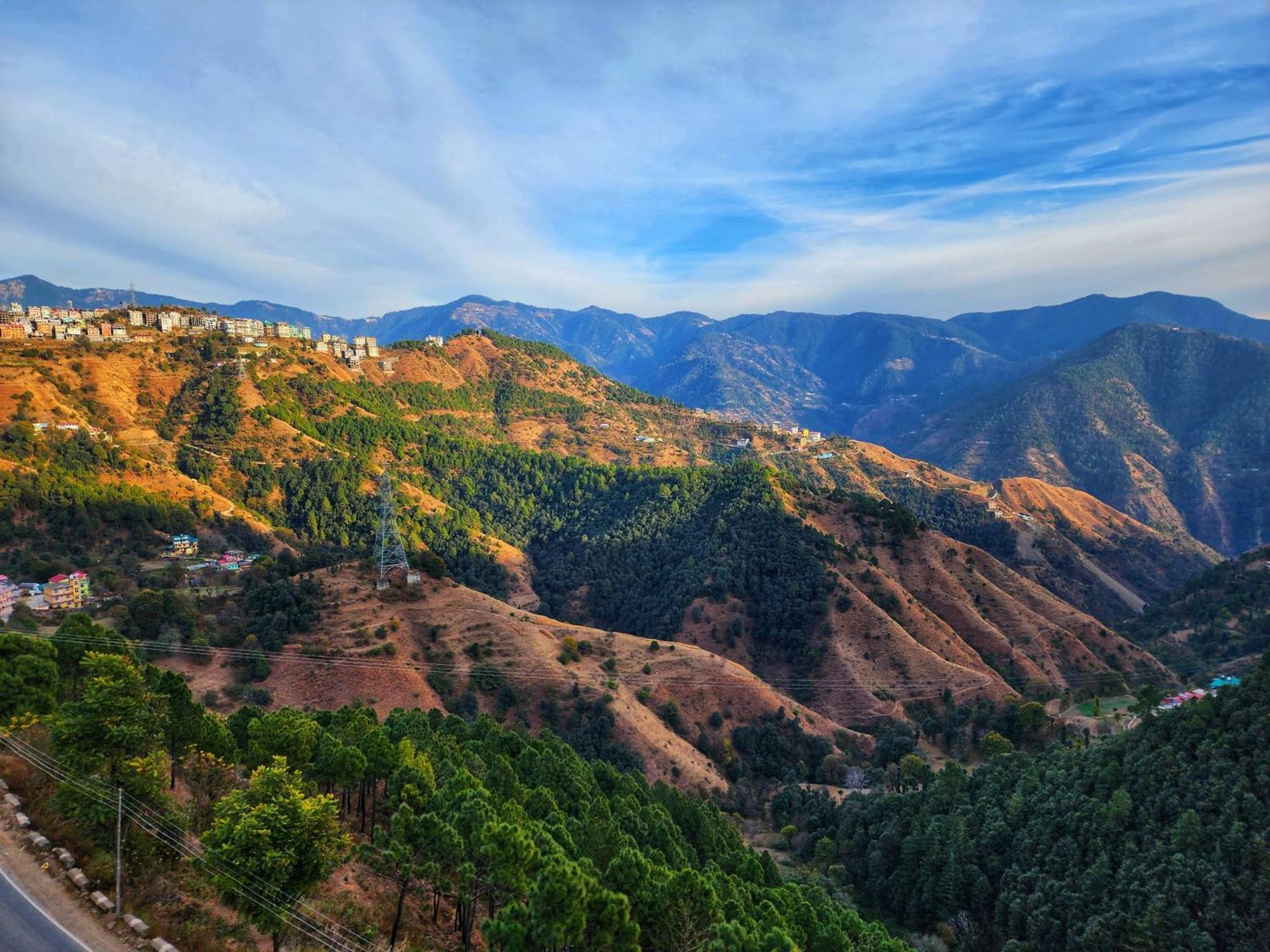 Royal Cedar Retreat Bed & Breakfast Shimla