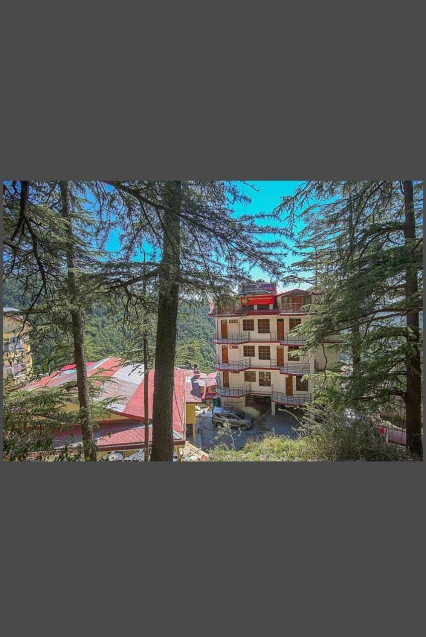 Hotel Avon 5*