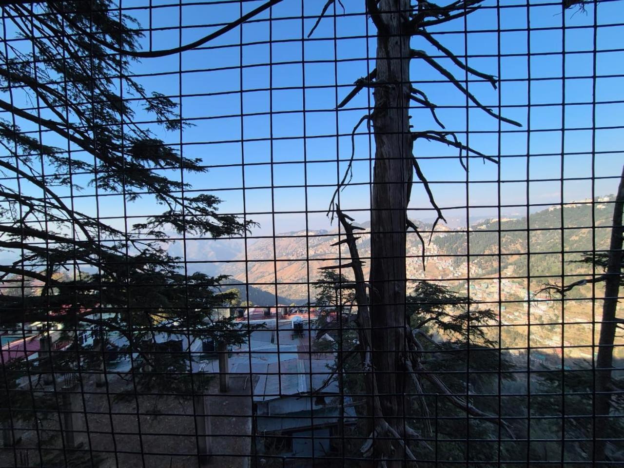 Yug * Shimla