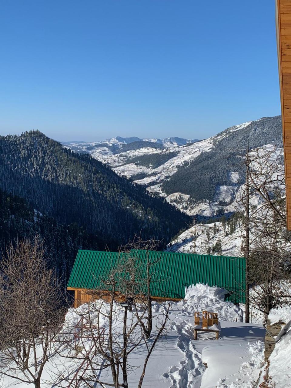 Elivaas 4 Bhk With Garden & Sauna - Skylounge Villa Shimla