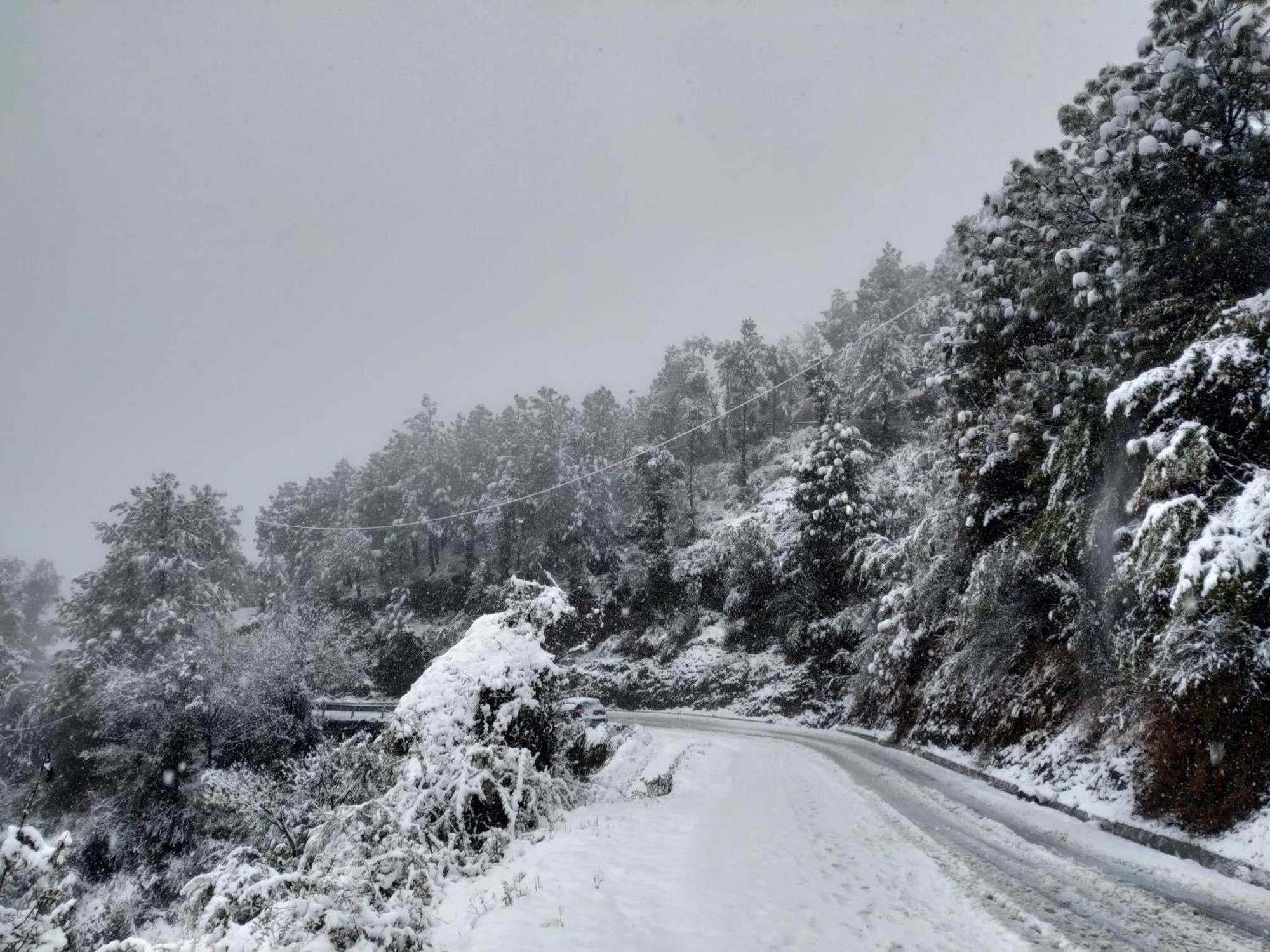 Apartment Hues & Trails Ground Zero Shimla
