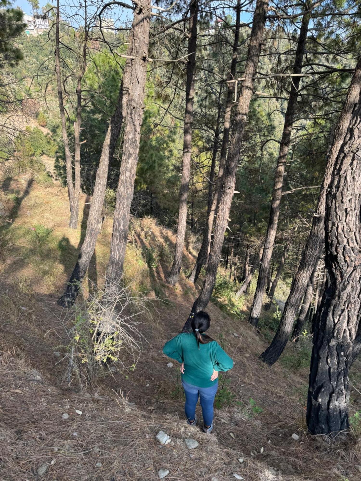 Hues & Trails Ground Zero Apartment Shimla