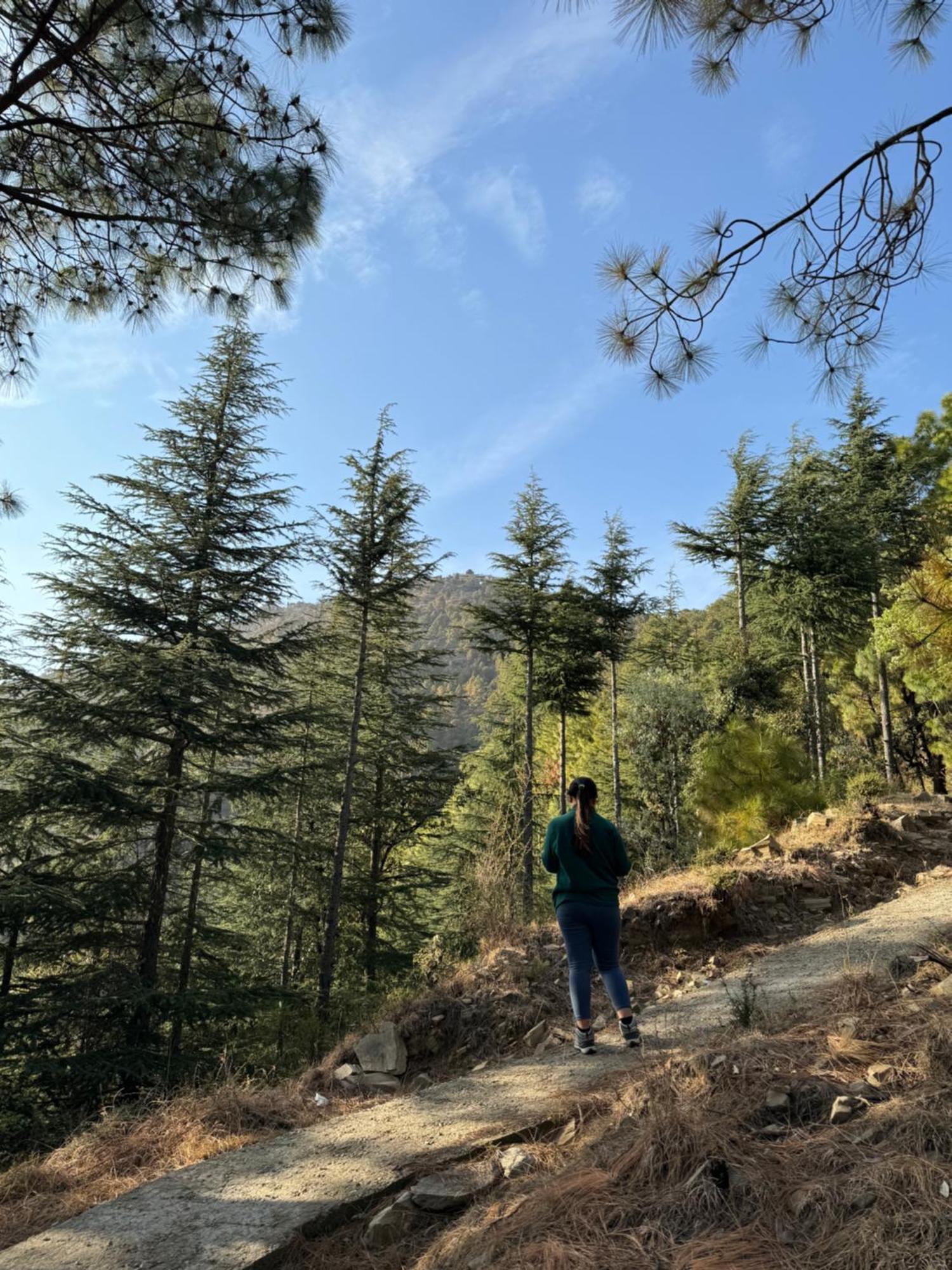 Apartment Hues & Trails Ground Zero Shimla