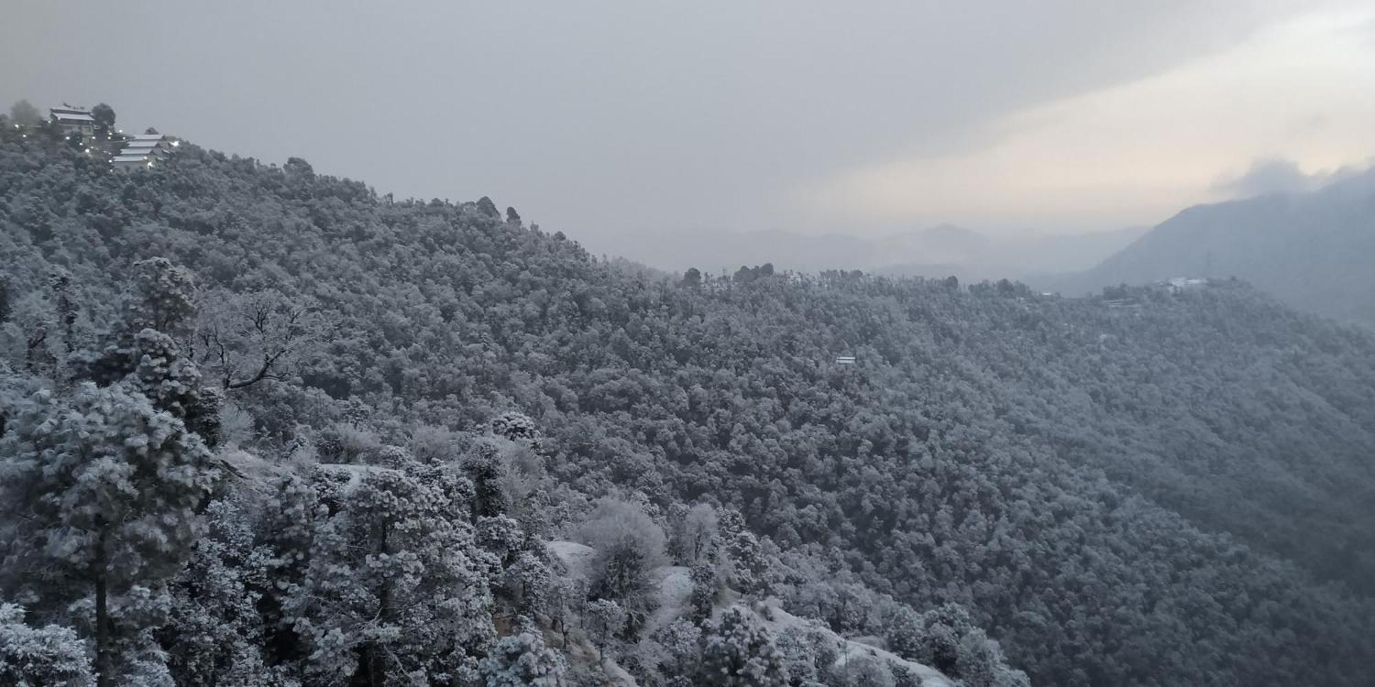 Hues & Trails Ground Zero Apartment Shimla