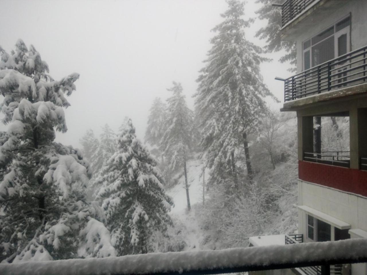 Rkm Biulding Sharma Shimla