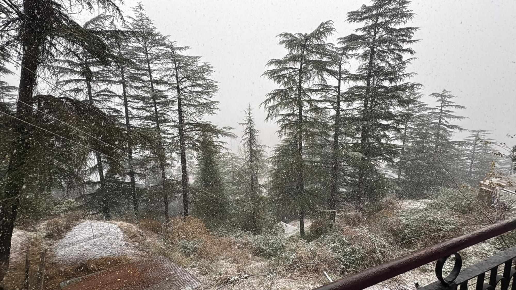Homestay Pakheru Shimla