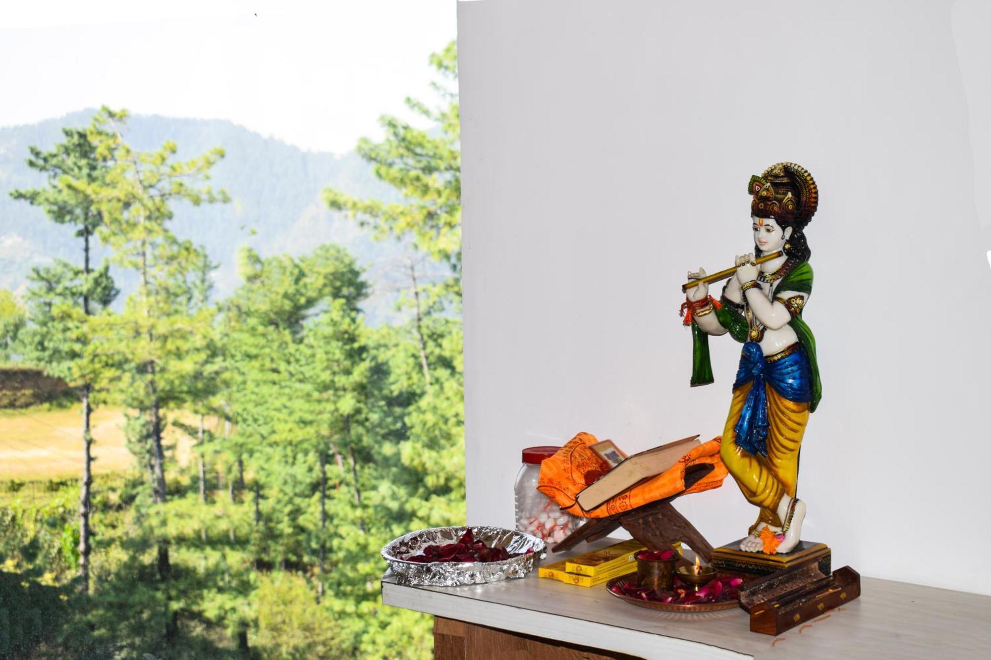 Hotel Valley View Mashobra - For Vacations Shimla