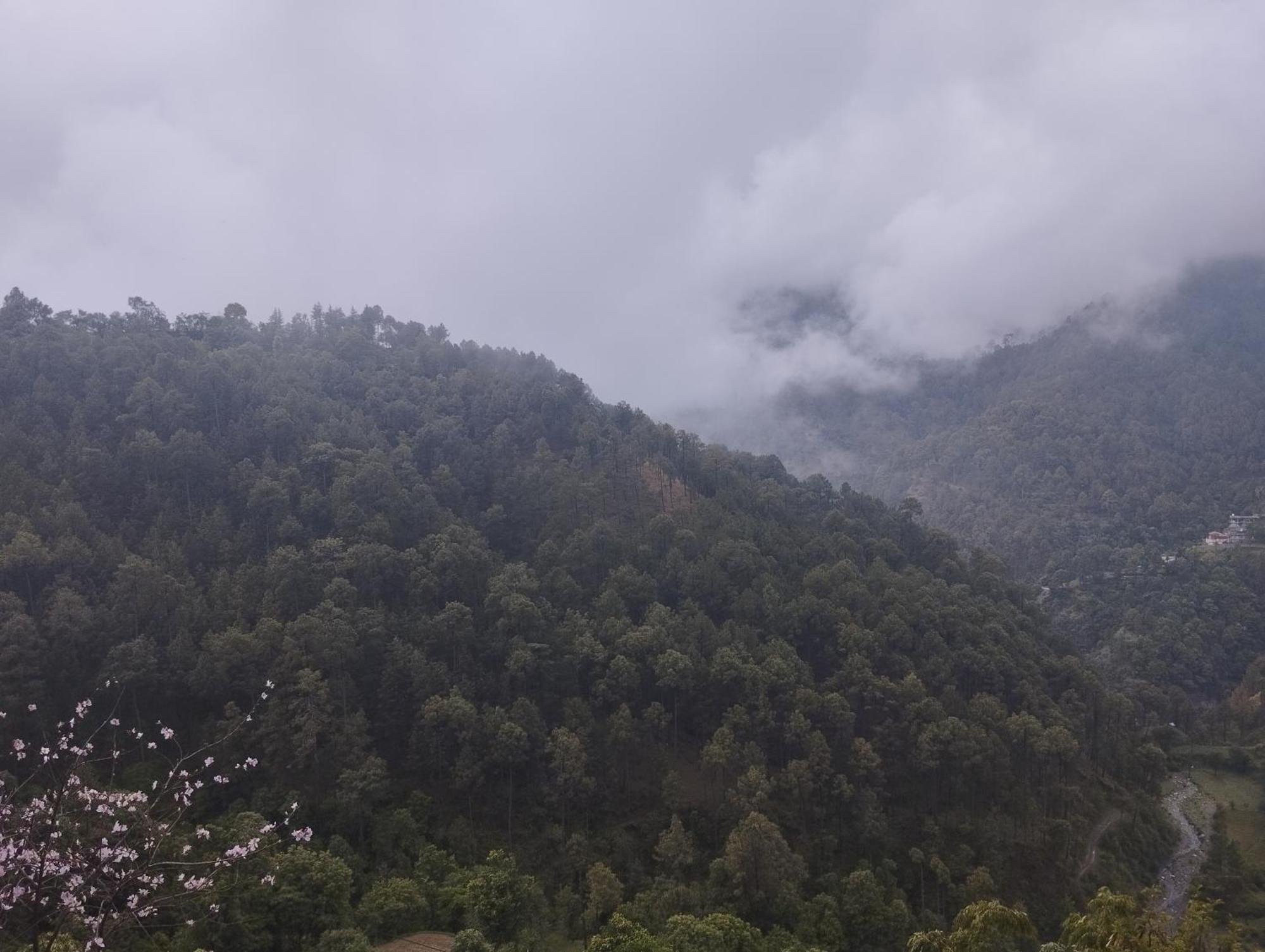 Homestay Gautam