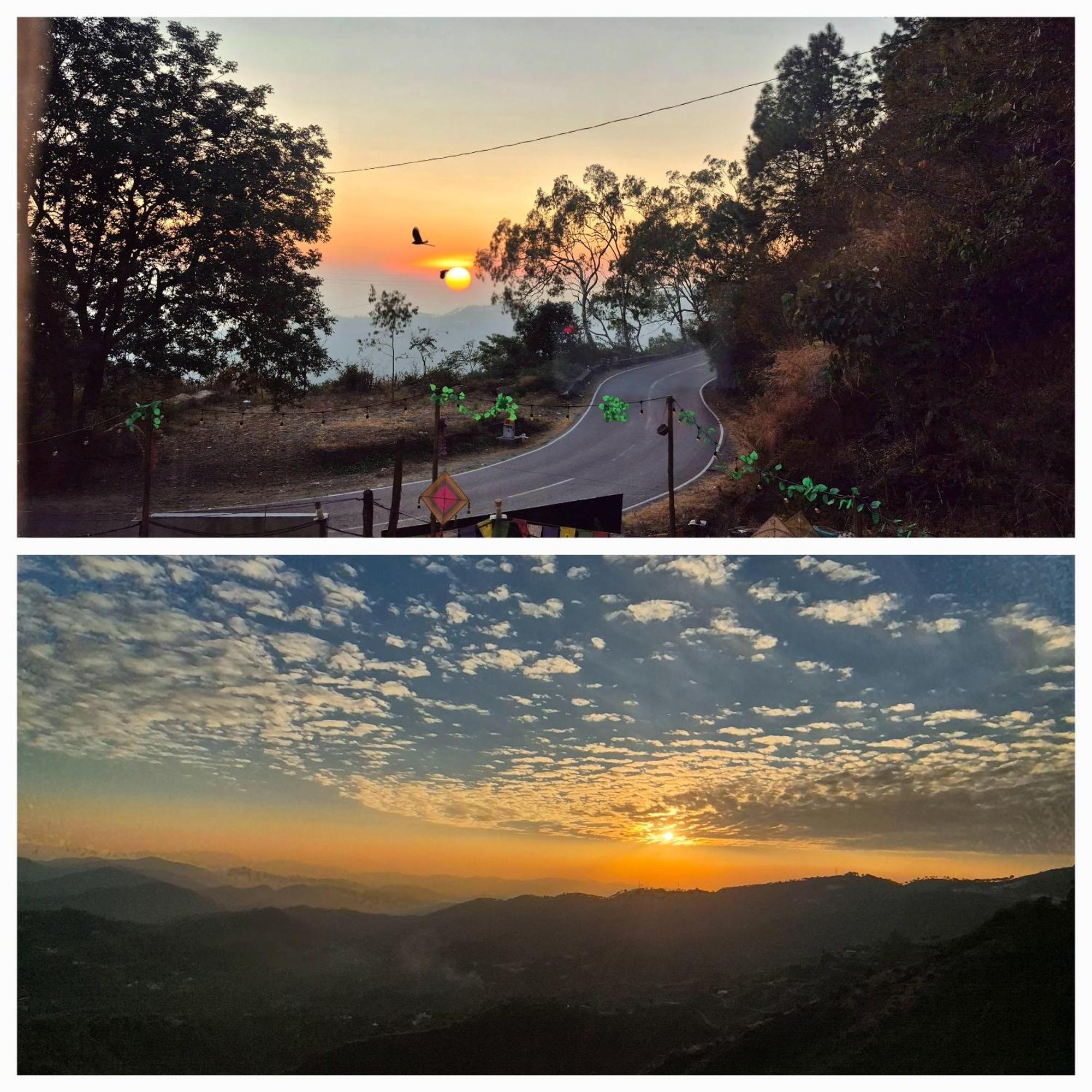 Krishna Shimla