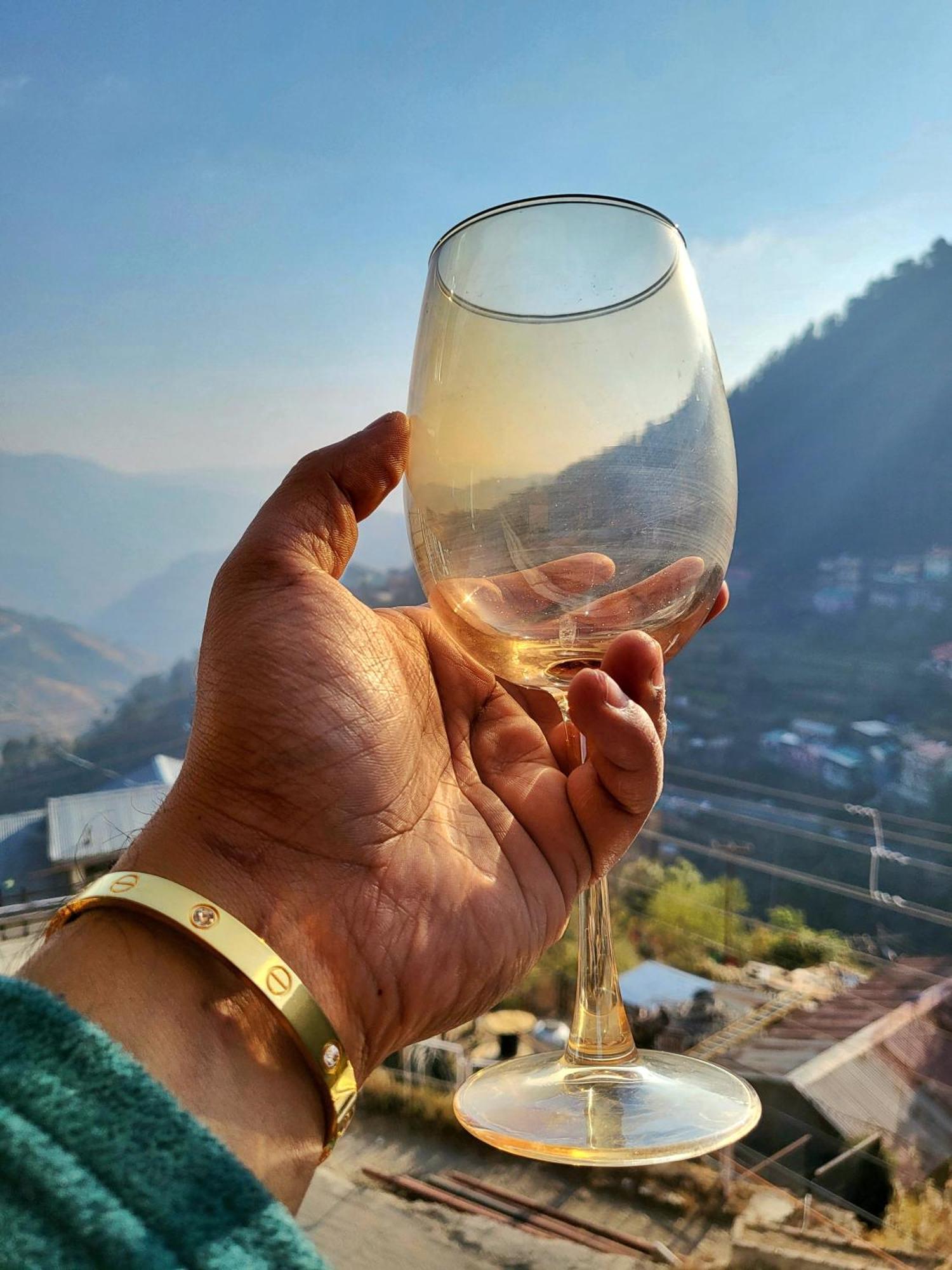 Bay Leaf By Live Shimla