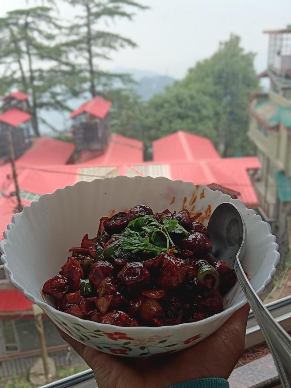 Jakhu Heights