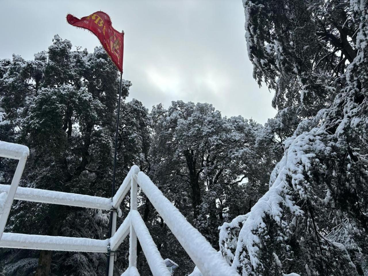 Jakhu Heights Shimla