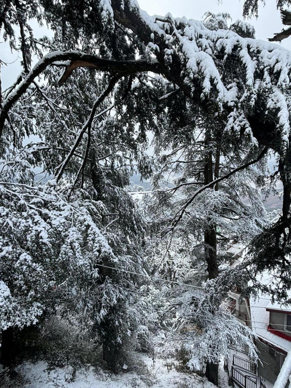 Jakhu Heights 3* Shimla