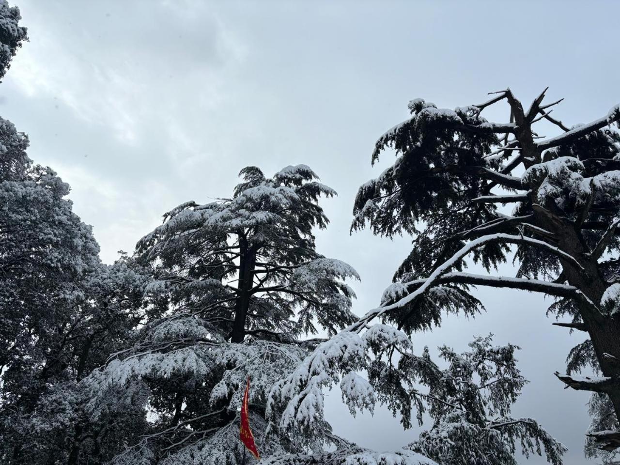 Jakhu Heights Hotel