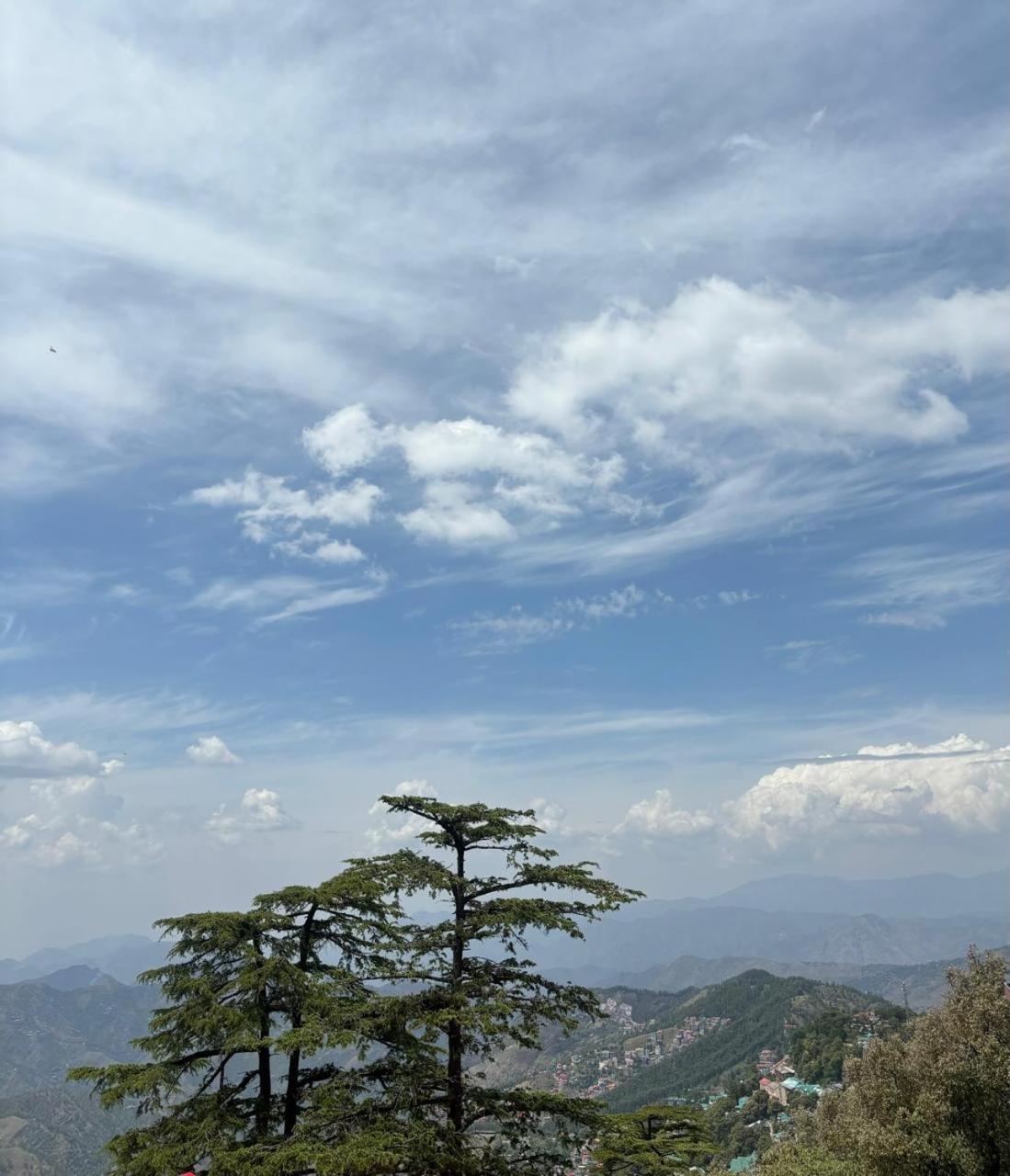 Jakhu Heights Hotel Shimla