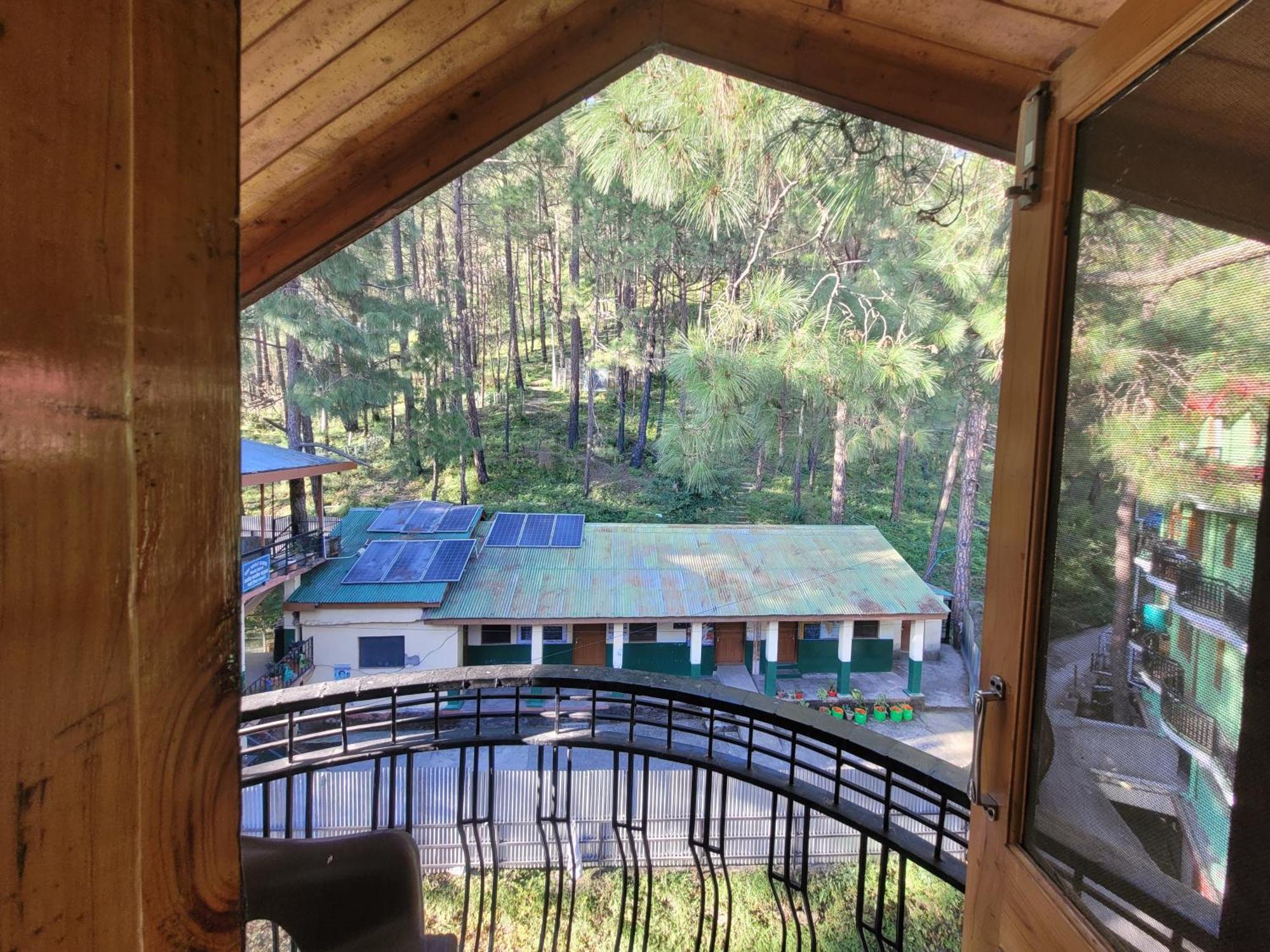 Pine Paradise Bed & Breakfast Shimla
