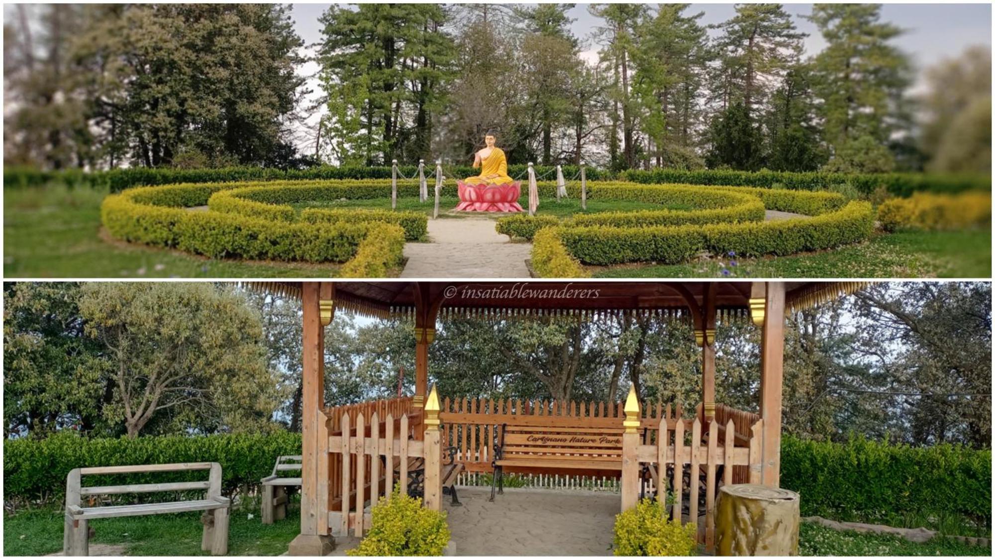 Pine View Kunal Mashobra Homestay Shimla