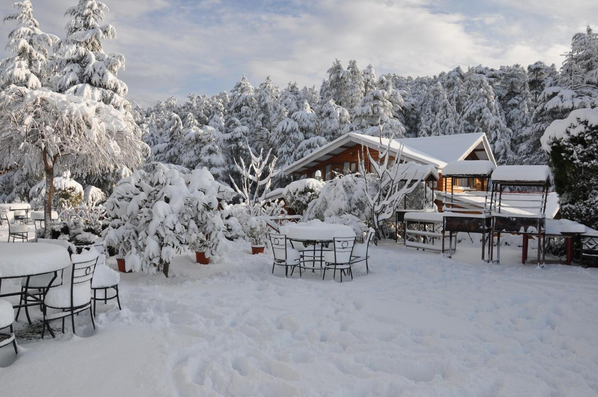Resort The Naldehra