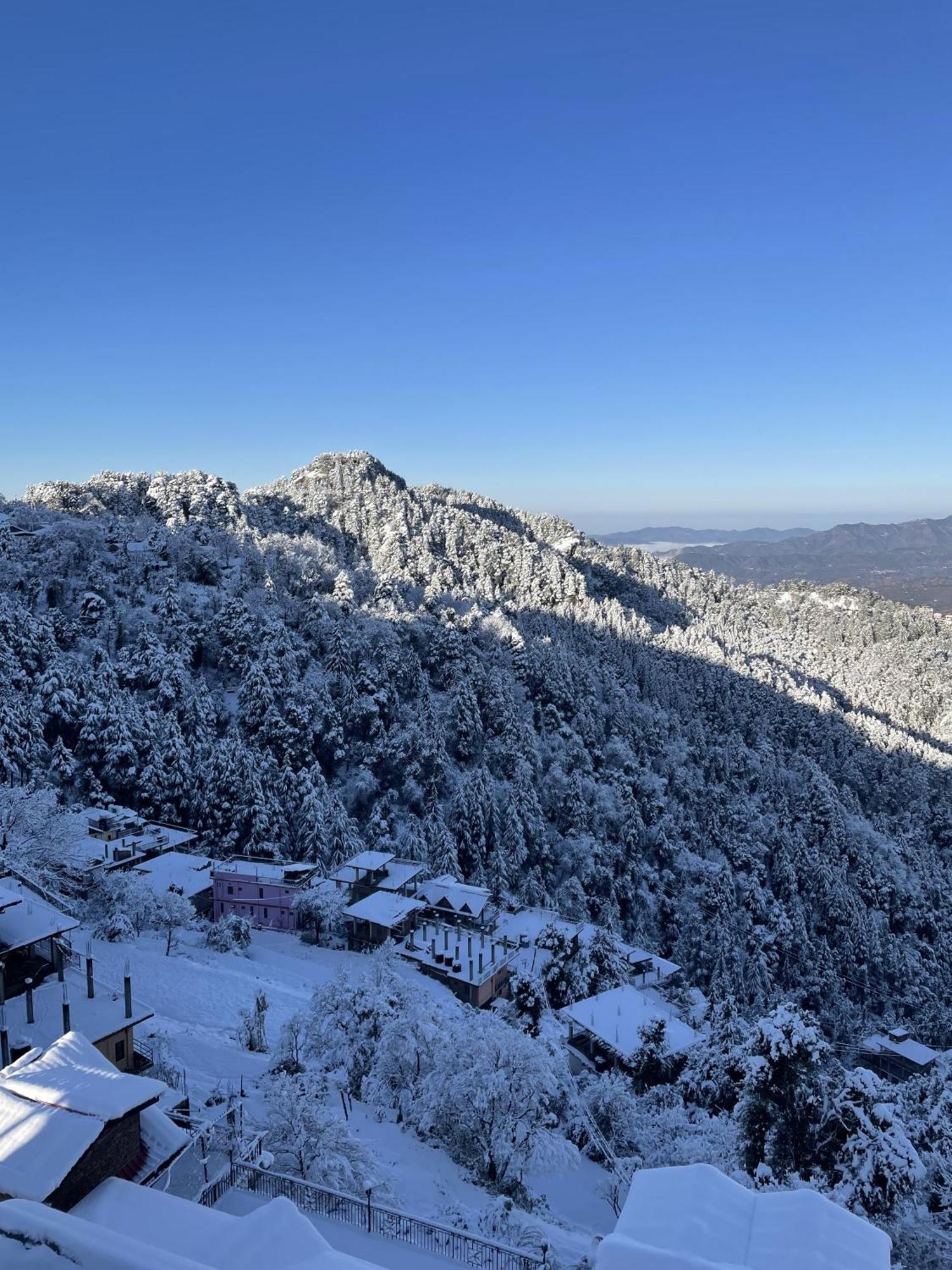 El Cielo, Bed & Breakfast Shimla