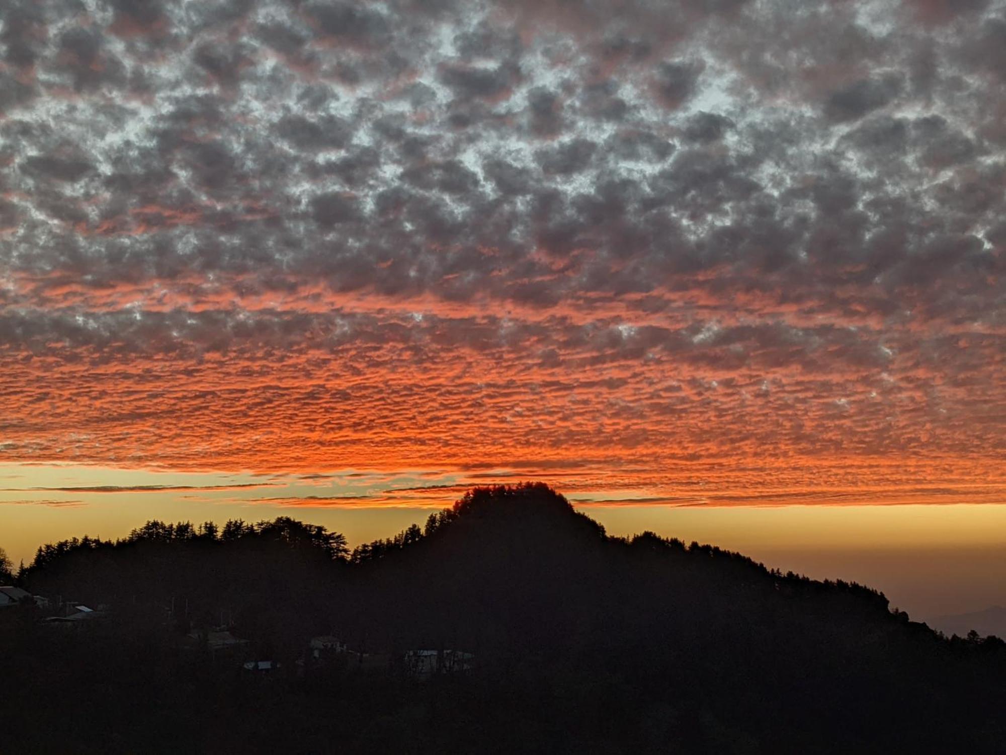 El Cielo, Bed & Breakfast Shimla