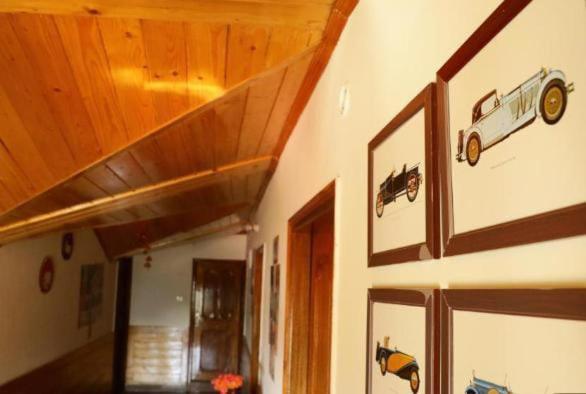 Valley Gulmohar Homestay Shimla