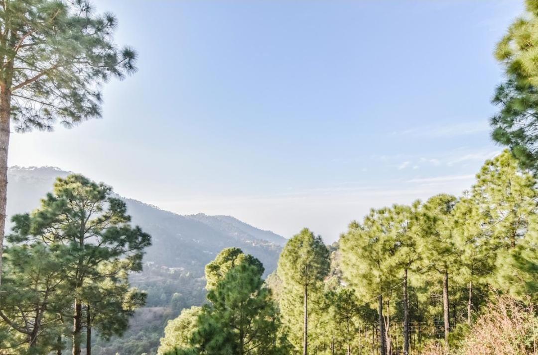 The Charvi Haven I Bonfire I Forest Treks I Memories I Open Air Lawn & Terrace I Kufri By Exotic Apartment Shimla