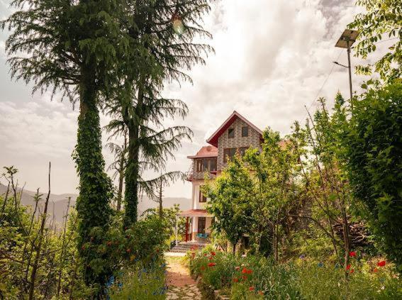 Homestay Shri Shimla