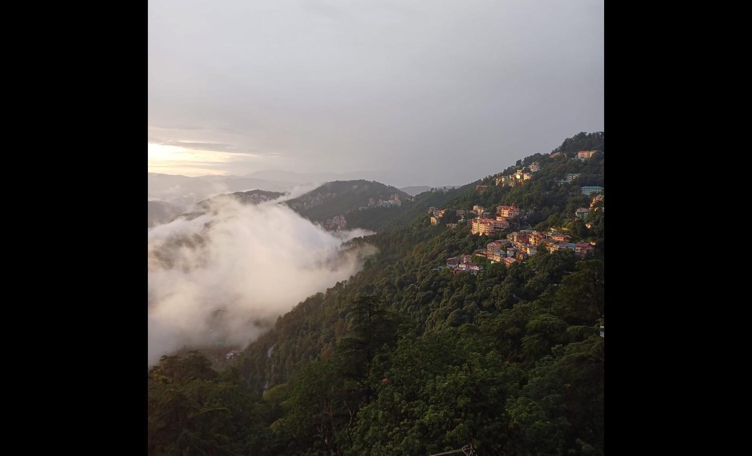 Harbans * Shimla