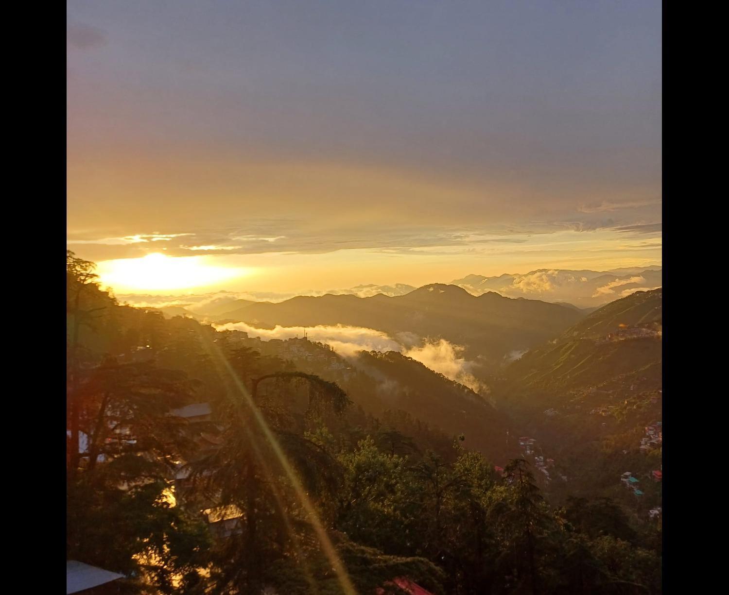 Harbans * Shimla