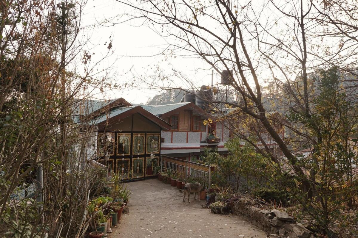 Kalta's Shimla