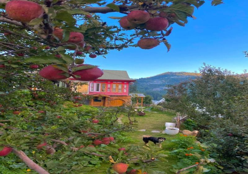 Hotel Meenabagh Homes Ratnari *