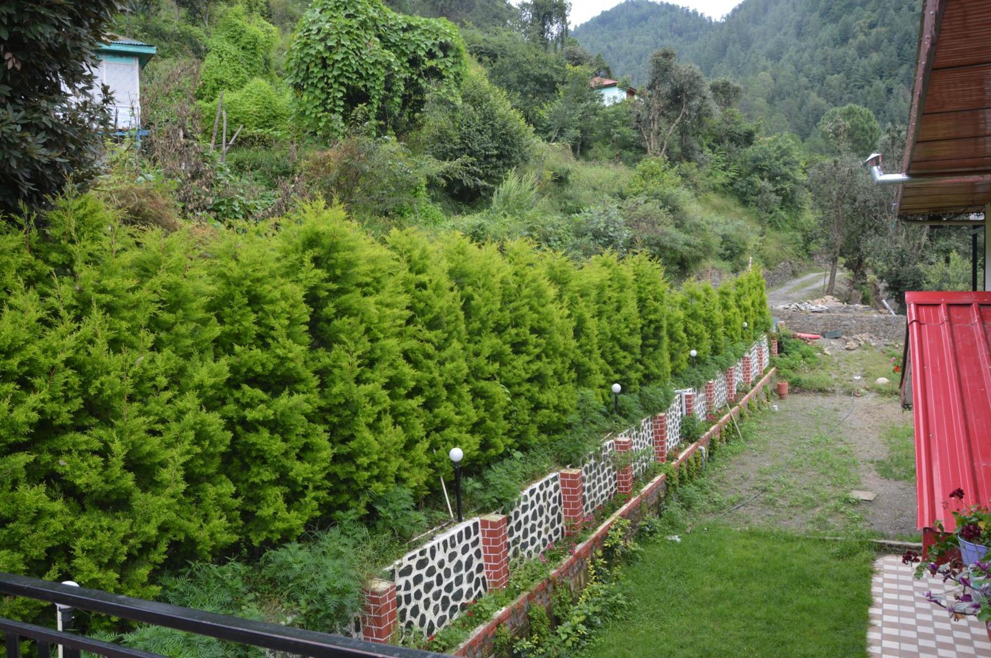 The Banoak Homes Mashobra
